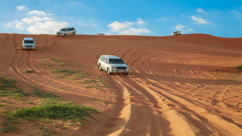 Desert Safari